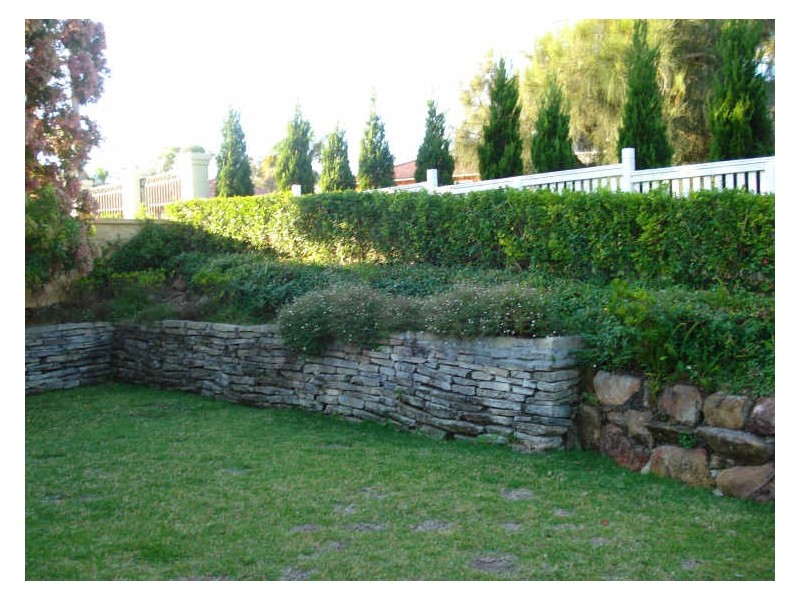 77 Suffolk Avenue, Collaroy NSW 2097