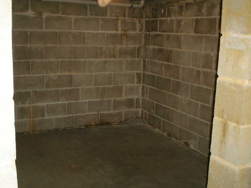 7/20 Mooramba Road, Dee Why NSW 2099