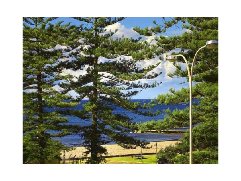 1/1073 Pittwater Rd, Collaroy NSW 2097