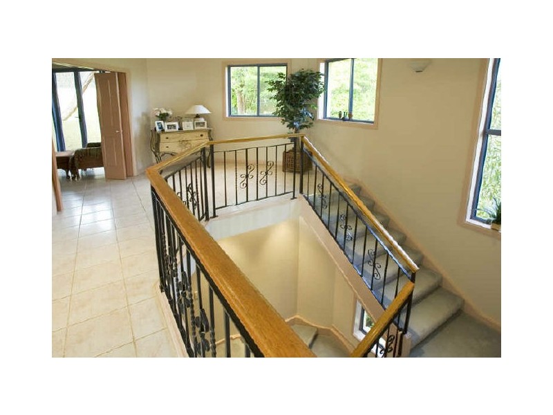 29 Carolyn Avenue, Beacon Hill NSW 2100