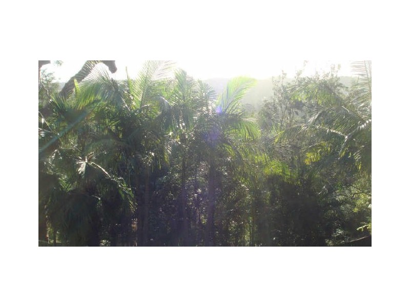 39A Alfred Road, Narraweena NSW 2099