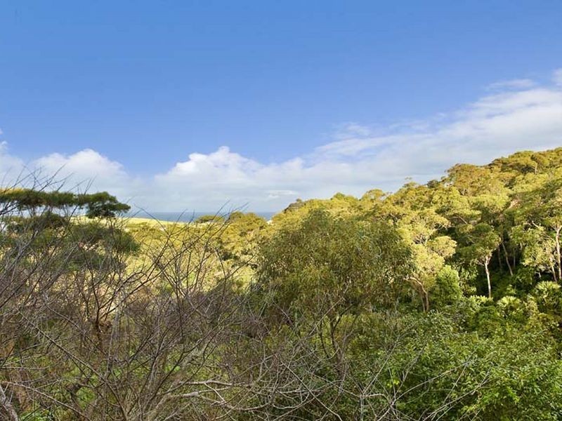 2/60 Alexander Street, Collaroy NSW 2097