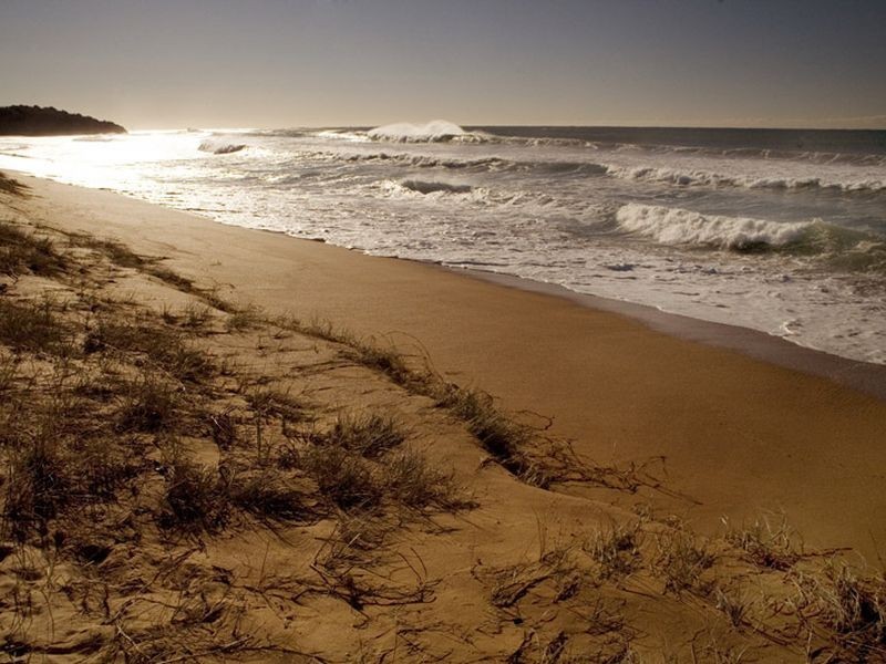 2 Loftus Street, Narrabeen NSW 2101