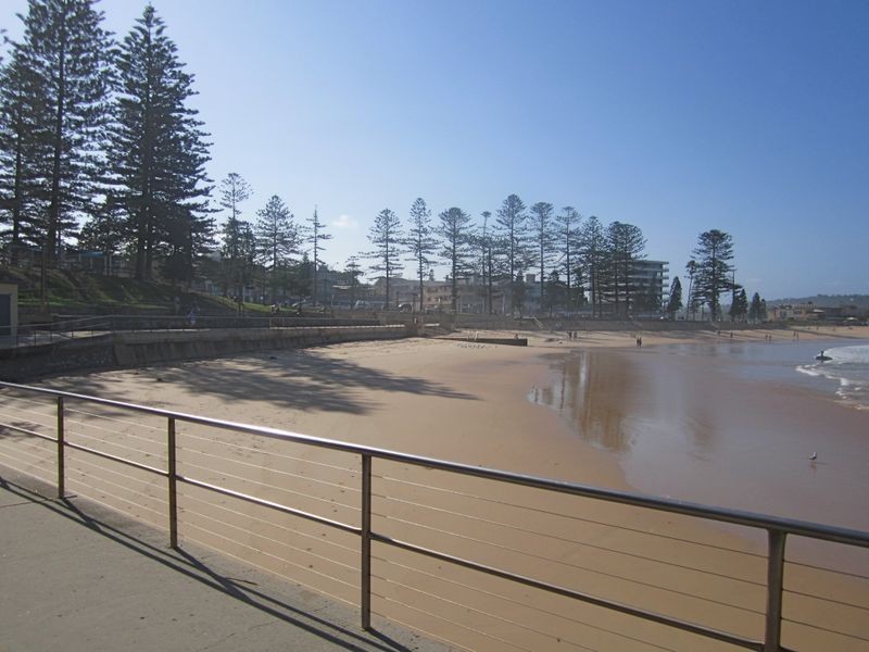 9/105 Howard Ave, Dee Why NSW 2099