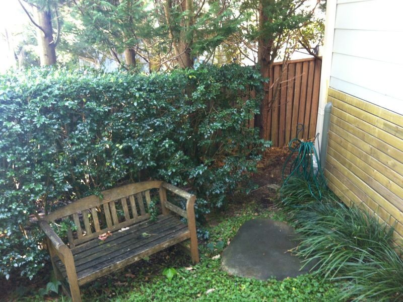 14 Amelia Place, North Narrabeen NSW 2101