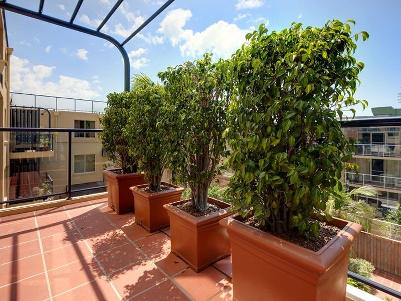 20/7-11 Collaroy Street, Collaroy NSW 2097