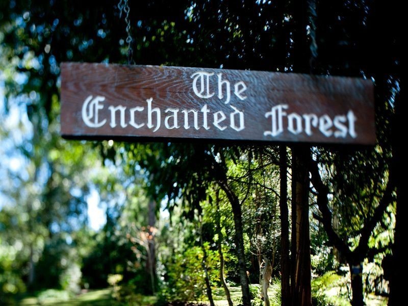 14 Johnsons Road, Bilpin NSW 2758