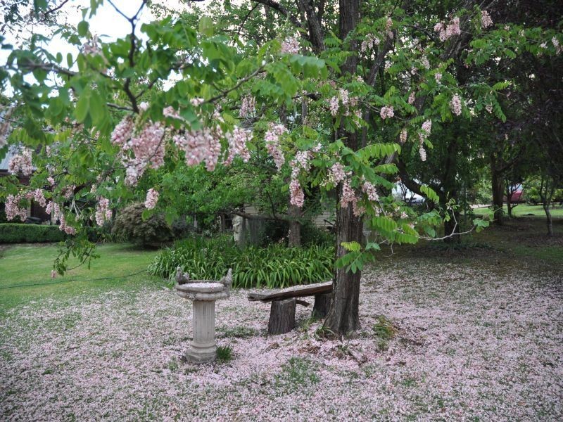 14 Johnsons Road, Bilpin NSW 2758