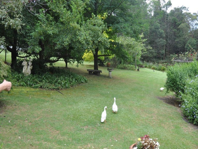 14 Johnsons Road, Bilpin NSW 2758