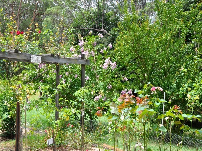 14 Johnsons Road, Bilpin NSW 2758