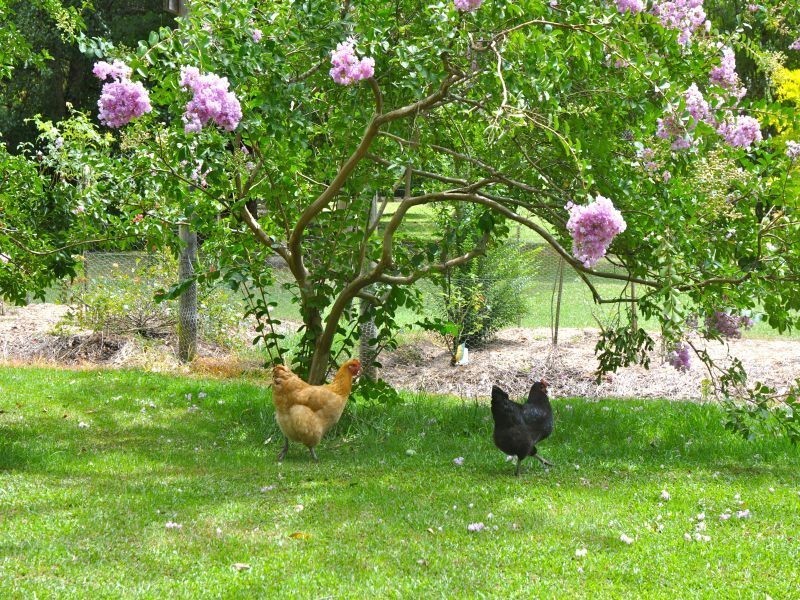 14 Johnsons Road, Bilpin NSW 2758