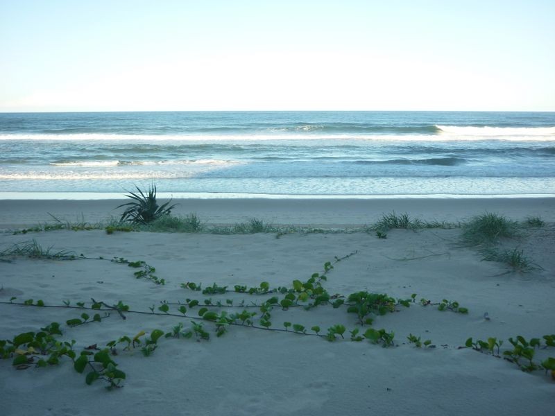 27/122 Marine Parade, Miami QLD 4220