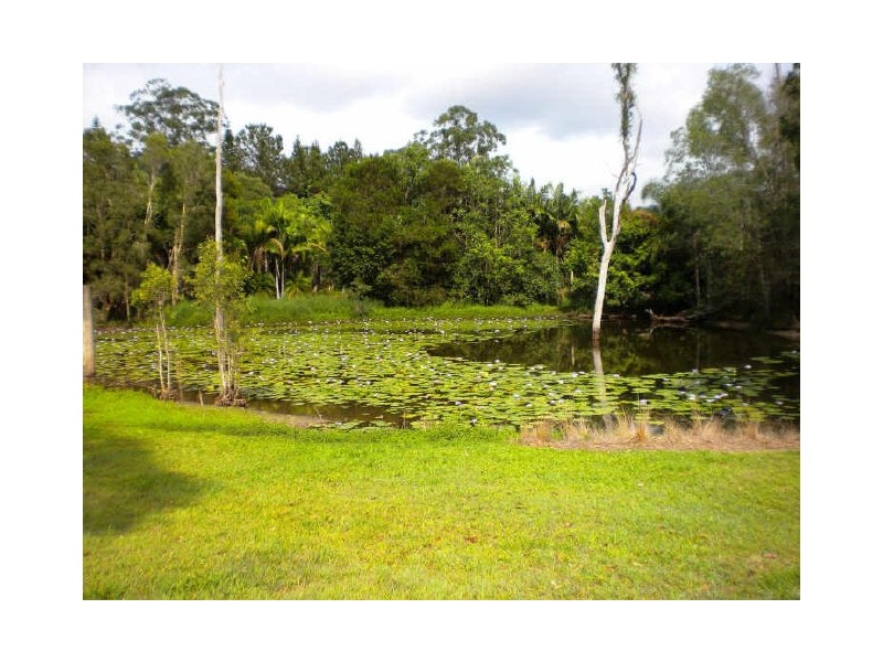 59 Bonogin Road, Mudgeeraba QLD 4213