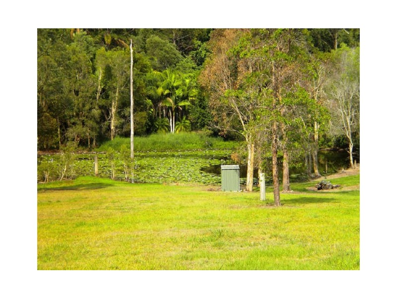 59 Bonogin Road, Mudgeeraba QLD 4213