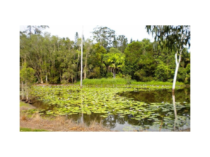 59 Bonogin Road, Mudgeeraba QLD 4213