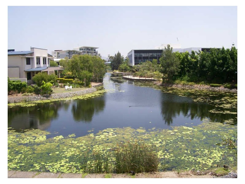 Robina QLD 4226