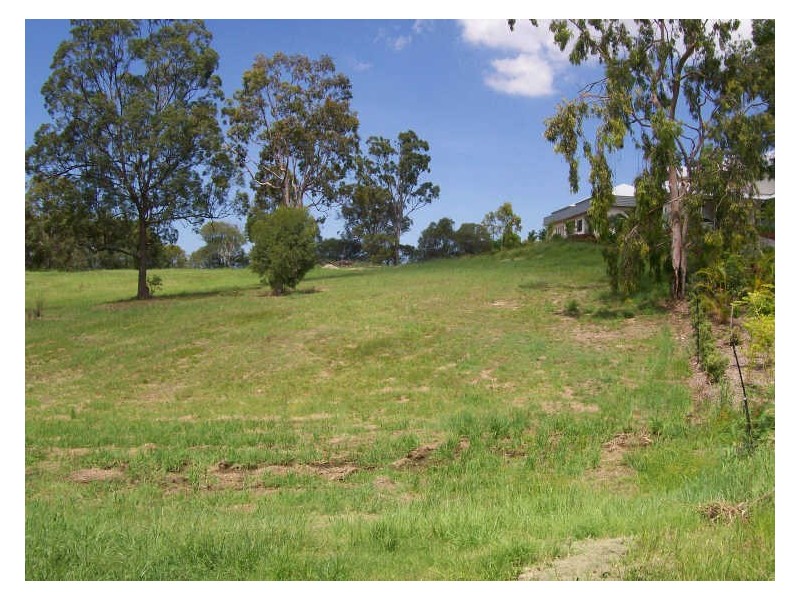 12 Jarema Drive, Mudgeeraba QLD 4213