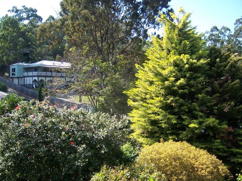 133 Thorngate Drive, Robina QLD 4226