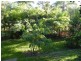 15 Woolmere Street, Carrara QLD 4211