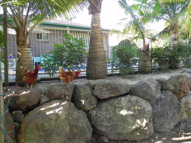15 Woolmere Street, Carrara QLD 4211