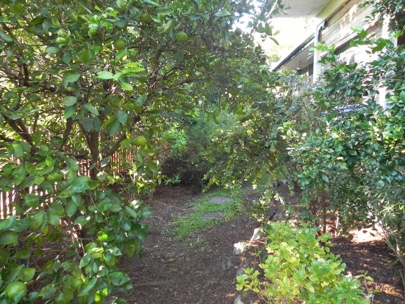 15 Woolmere Street, Carrara QLD 4211