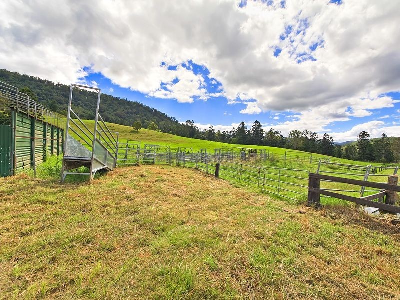 2296 Nerang-Murwillumbah Road, Numinbah Valley QLD 4211