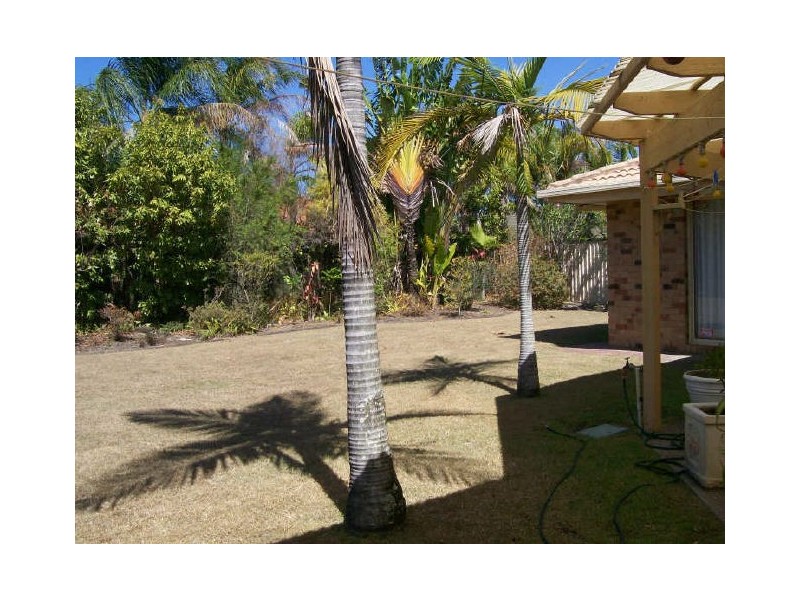 49 Newport Drive, Robina QLD 4226