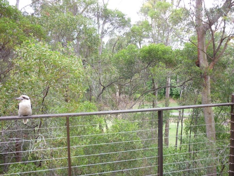 29 Royal Links Drive, Robina QLD 4226