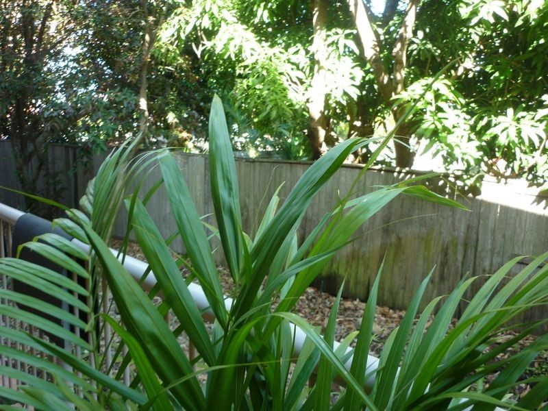 39/2320 Gold Coast Highway, Mermaid Beach QLD 4218