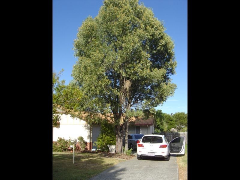 15 Victory Drive, Mudgeeraba QLD 4213