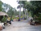 Eumundi QLD 4562