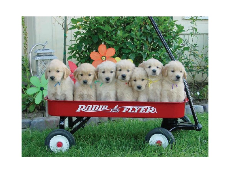 Noosa Heads QLD 4567