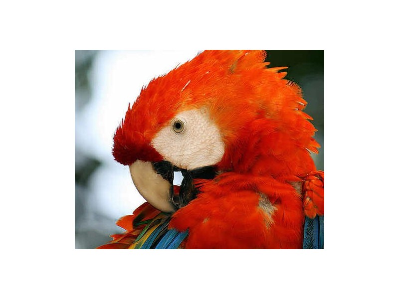 Noosa Heads QLD 4567