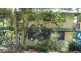 64 Poinciana Av, Tewantin QLD 4565