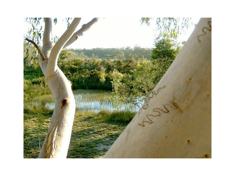 672 Eumundi Rd, Doonan QLD 4562