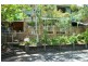 5 Berrima Row, Noosa Heads QLD 4567
