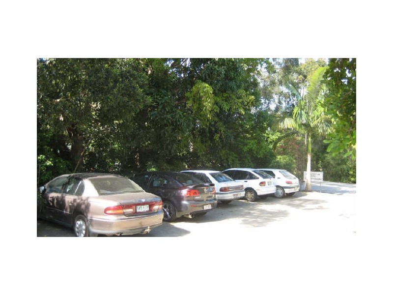 64 Poinciana Av, Tewantin QLD 4565