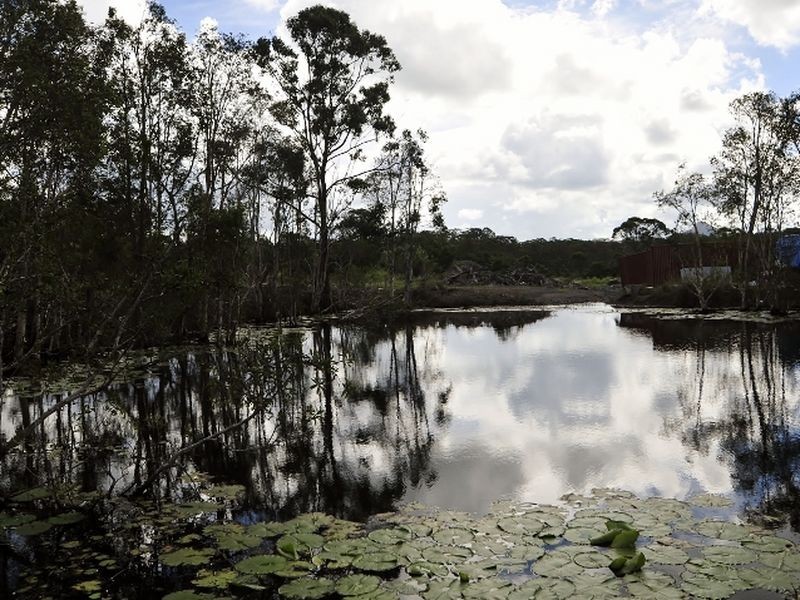 Doonan QLD 4562