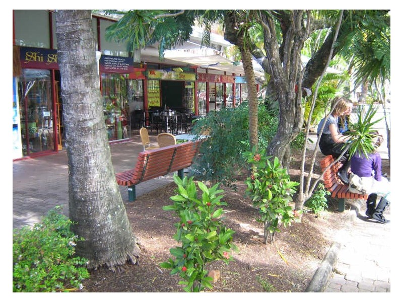 Noosa Heads QLD 4567