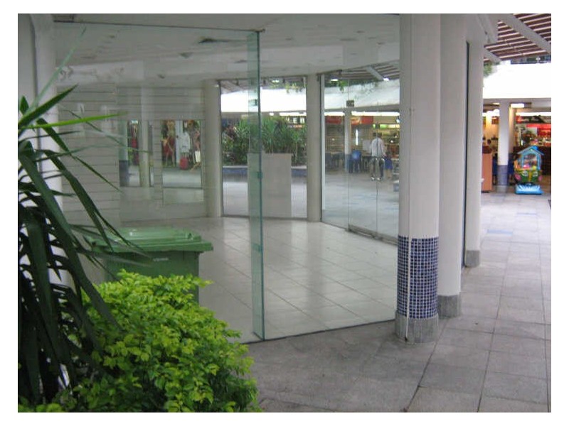 Noosa Heads QLD 4567