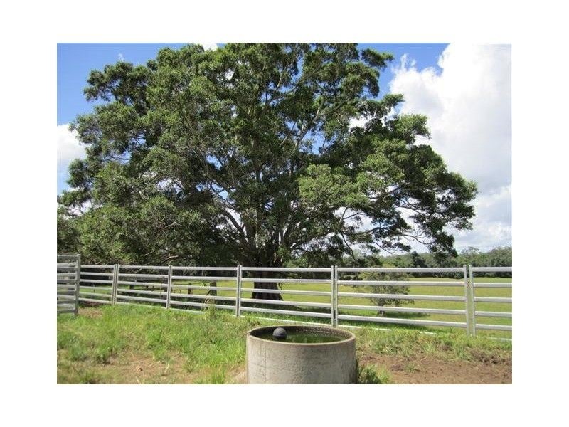 48 Princess Street, Cooran QLD 4569