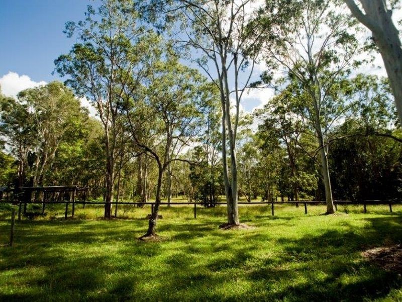 Tewantin QLD 4565