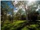 Tewantin QLD 4565