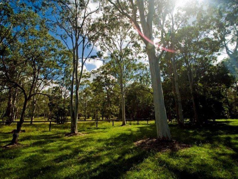 Tewantin QLD 4565