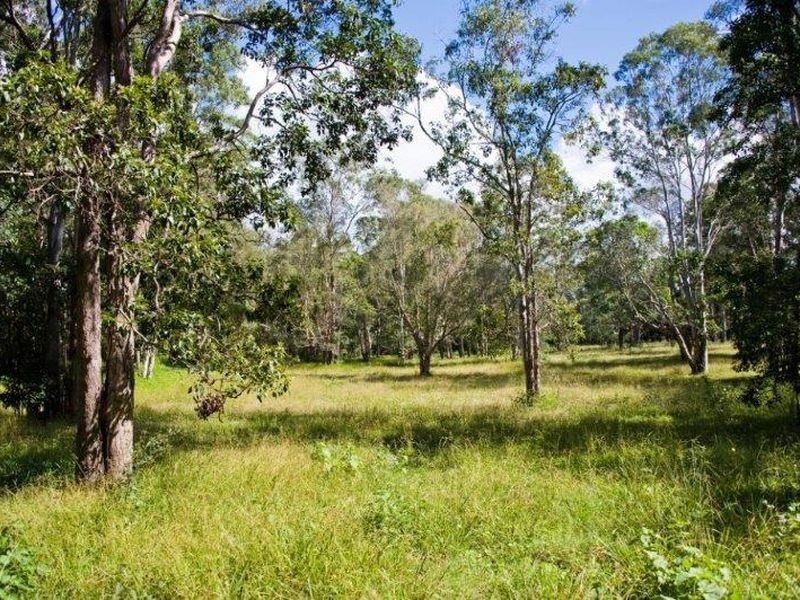 Tewantin QLD 4565