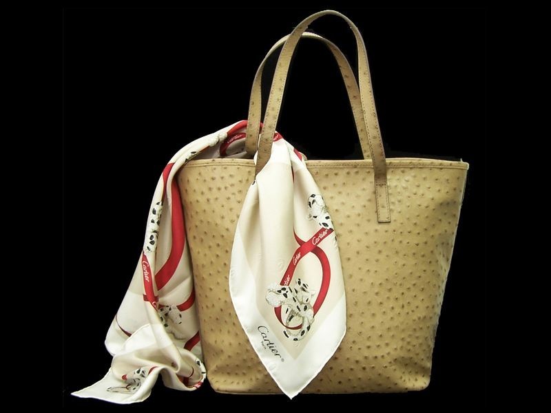 Noosa Heads QLD 4567