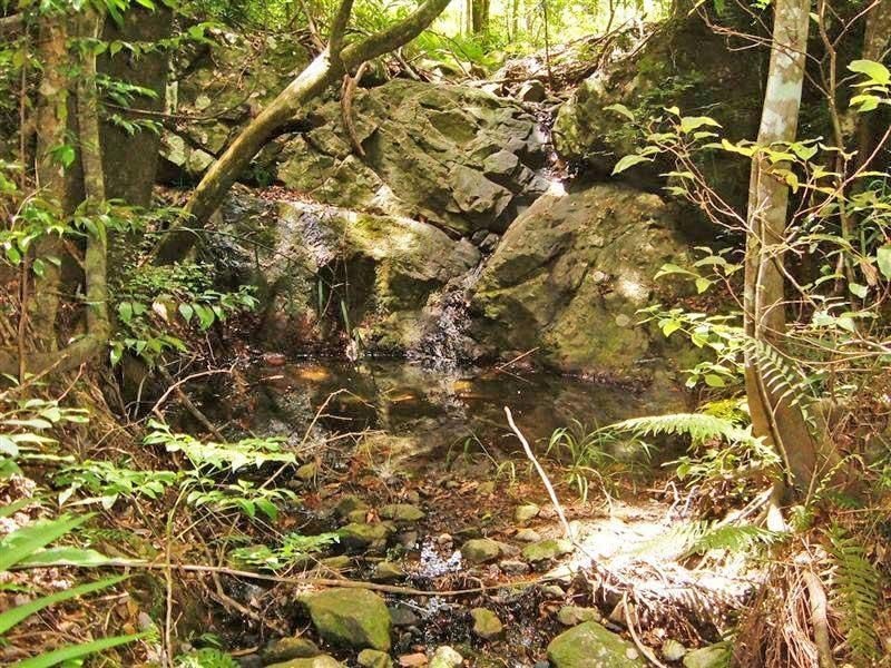 49 Whispering Gum (rafter country), Eumundi QLD 4562
