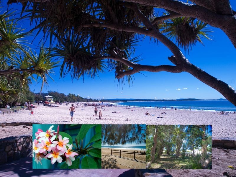 7 Paul Street, Noosa Heads QLD 4567