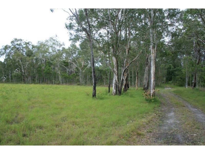 39 Tronson Road, Ringtail Creek QLD 4565