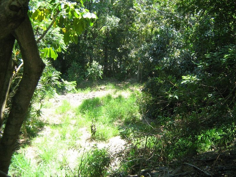 31 Warana Street, Noosa Heads QLD 4567